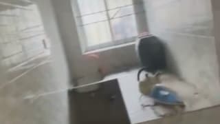 1 Bedroom Apartment for rent in Yaba, lagos thumbnail 4