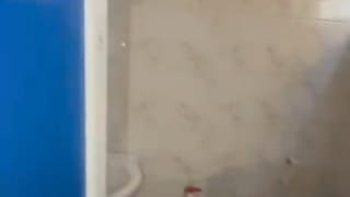 1 Bedroom Apartment for rent in Maryland , lagos thumbnail 3