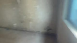 1 Bedroom Apartment for rent in Shomolu , lagos thumbnail 3