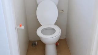 1 Bedroom Apartment for rent in Shomolu , lagos thumbnail 3