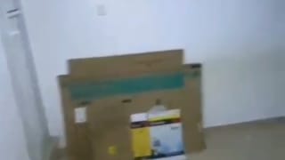 1 Bedroom Apartment for rent in Shomolu , lagos thumbnail 2