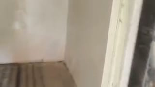 1 Bedroom Apartment for rent in Yaba, lagos thumbnail 3