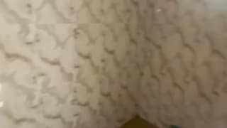 1 Bedroom Apartment for rent in Shomolu , lagos thumbnail 4
