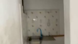 1 Bedroom Apartment for rent in Shomolu , lagos thumbnail 3