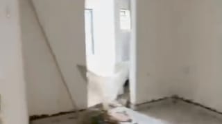 1 Bedroom Apartment for rent in Surulere , lagos thumbnail 1