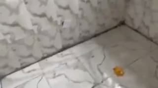 1 Bedroom Apartment for rent in Surulere , lagos thumbnail 3