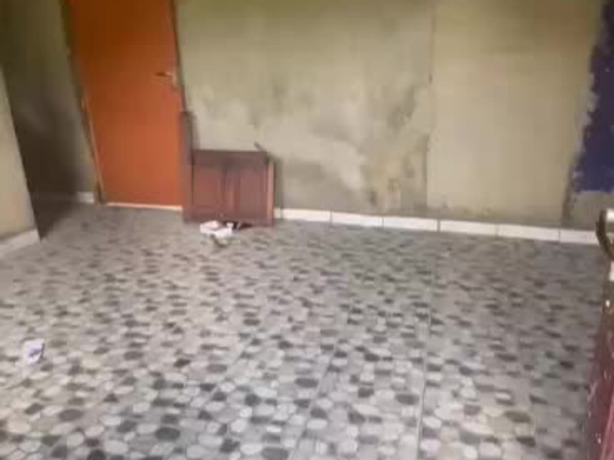 TO LET — Newly Renovated Room Self Contained