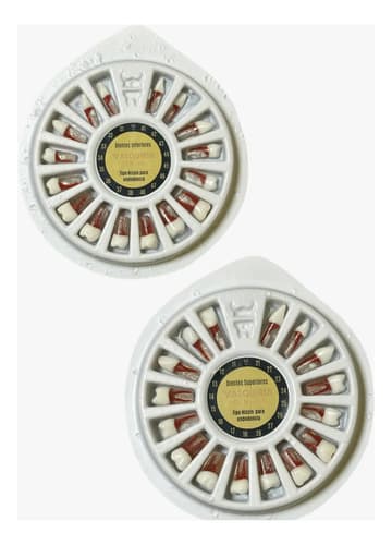Dientes tipo Nissin Valquiria Dental para práctica de endodoncia
