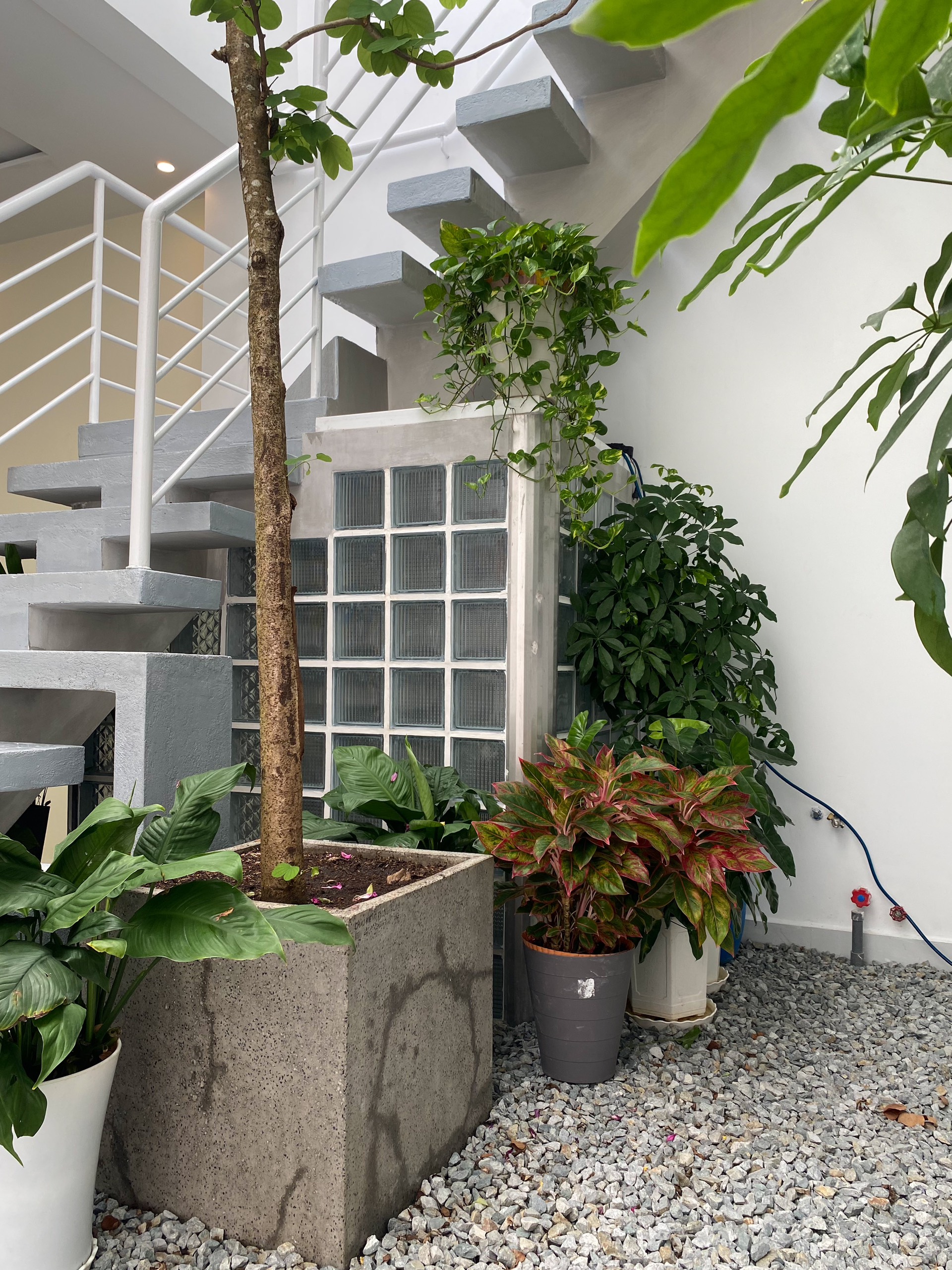 47 Nguyễn Hiền 5