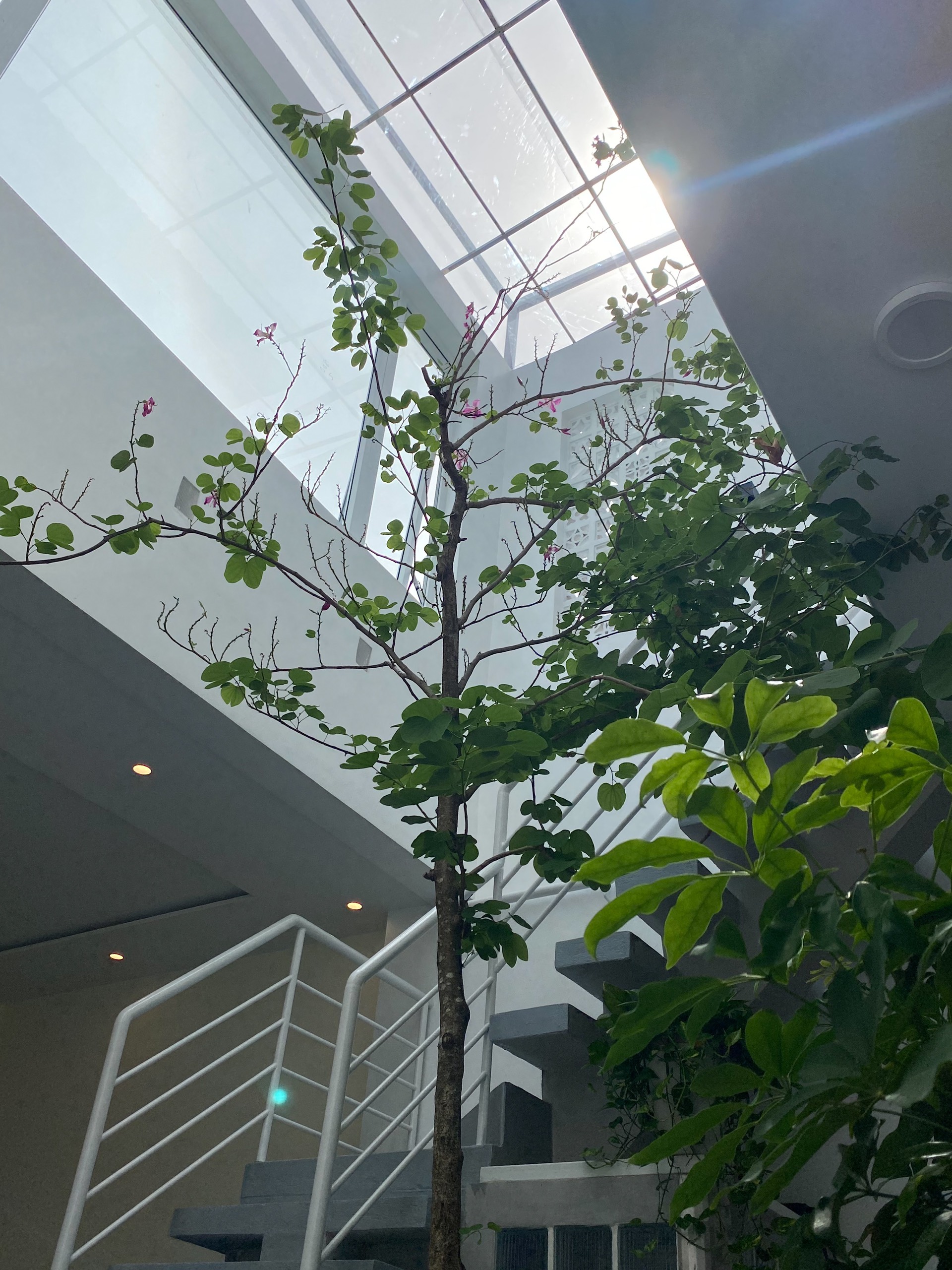 47 Nguyễn Hiền 4