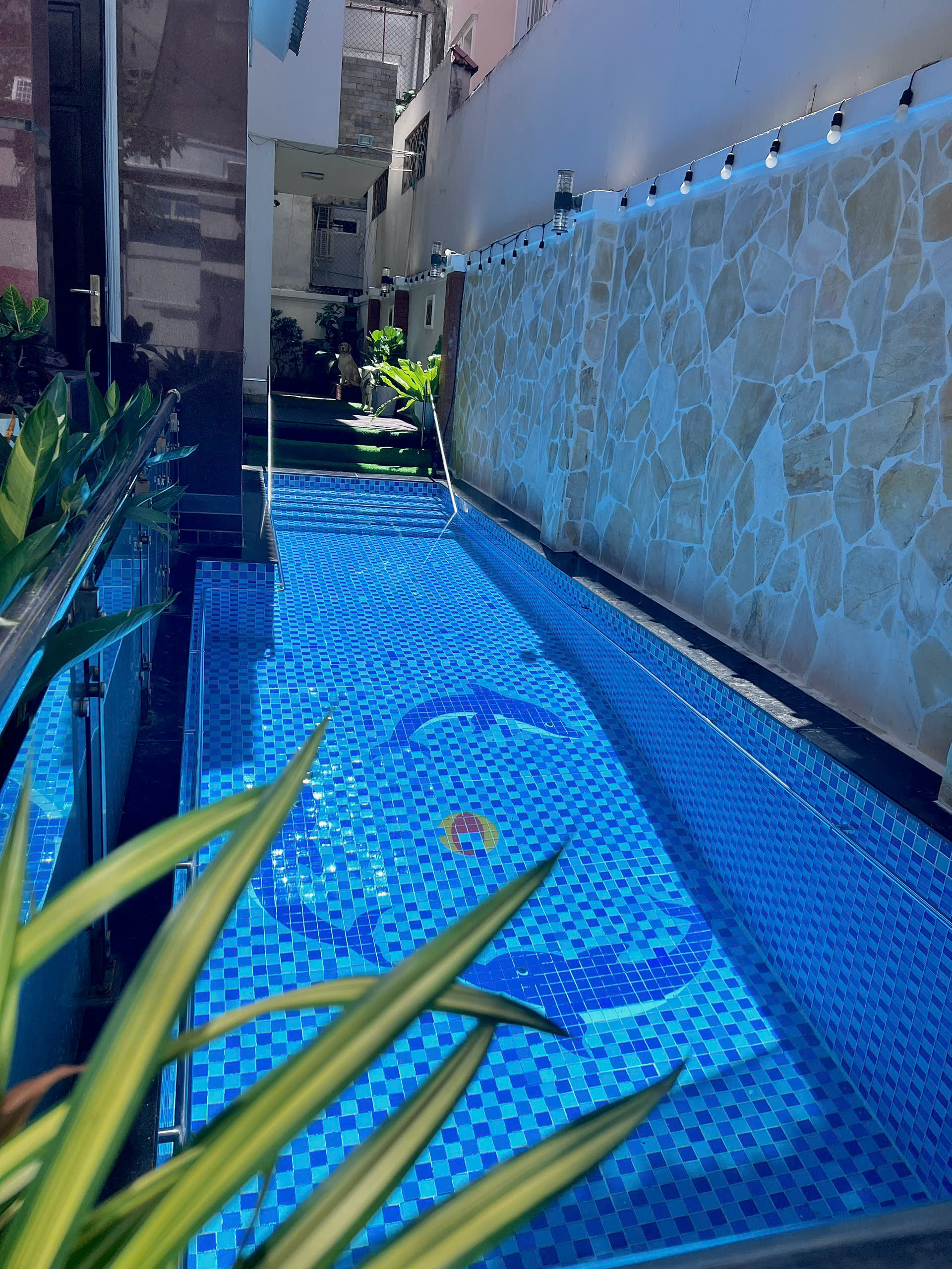 8F Lạc Long Quân 4