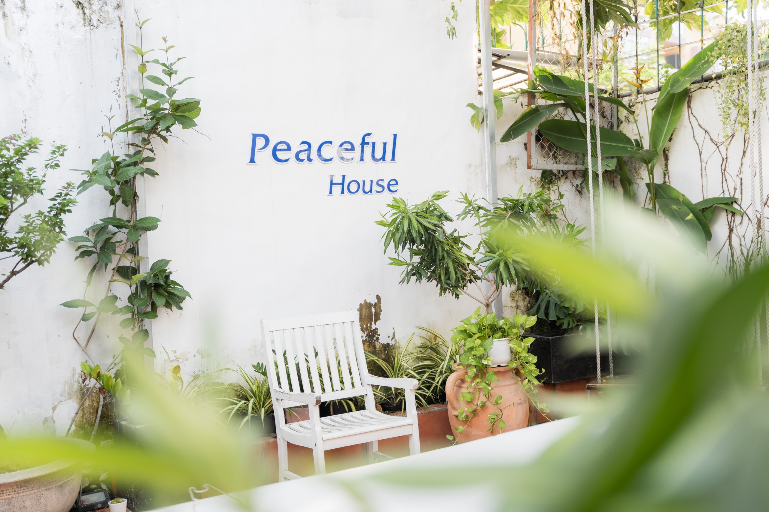 53/19 Lê Hồng Phong 3