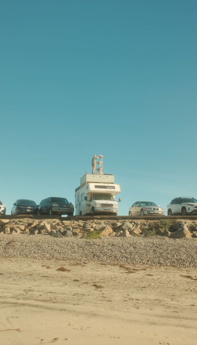 Guy on top of a rv with cats