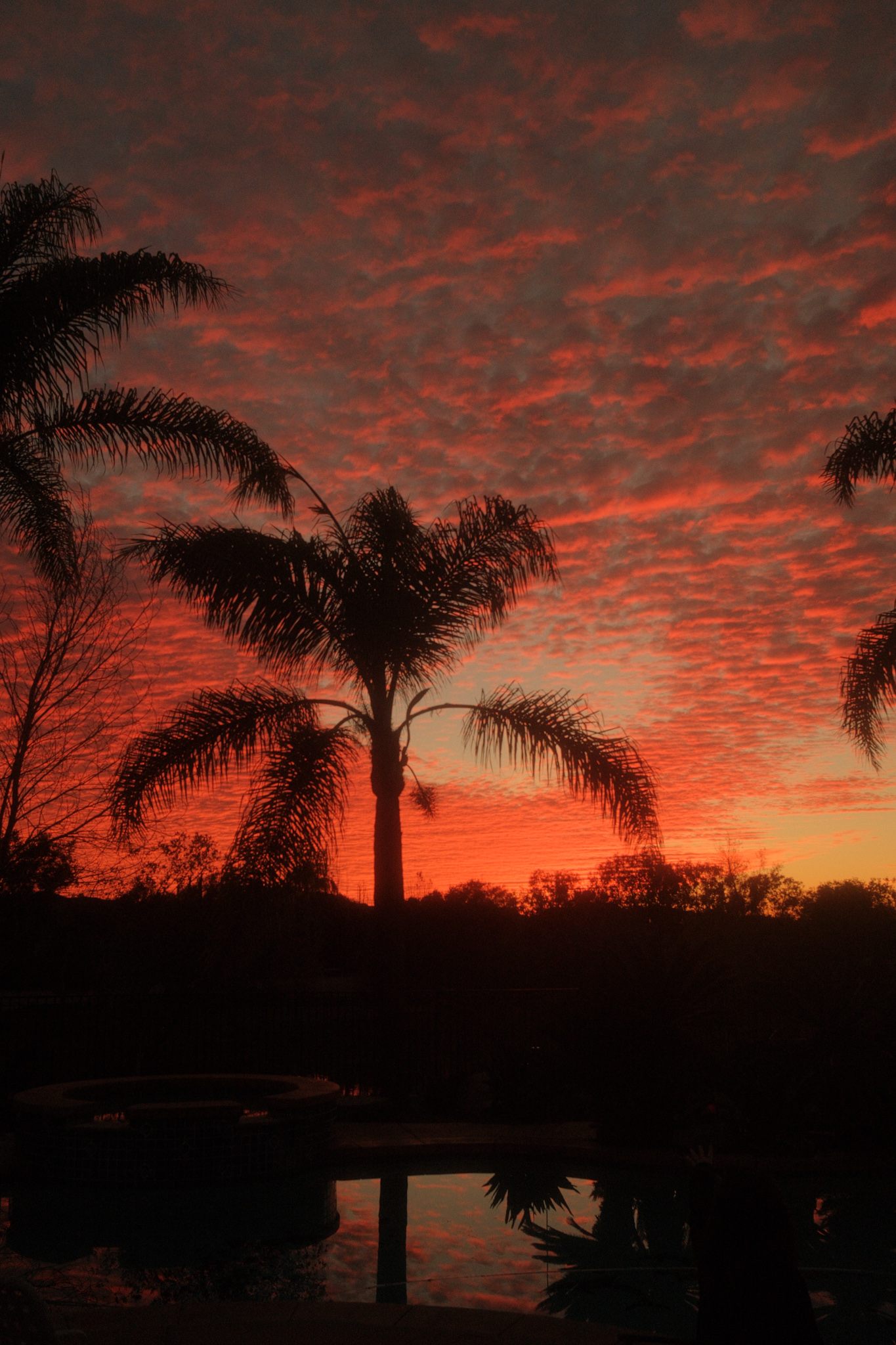 Photos I took when I was home