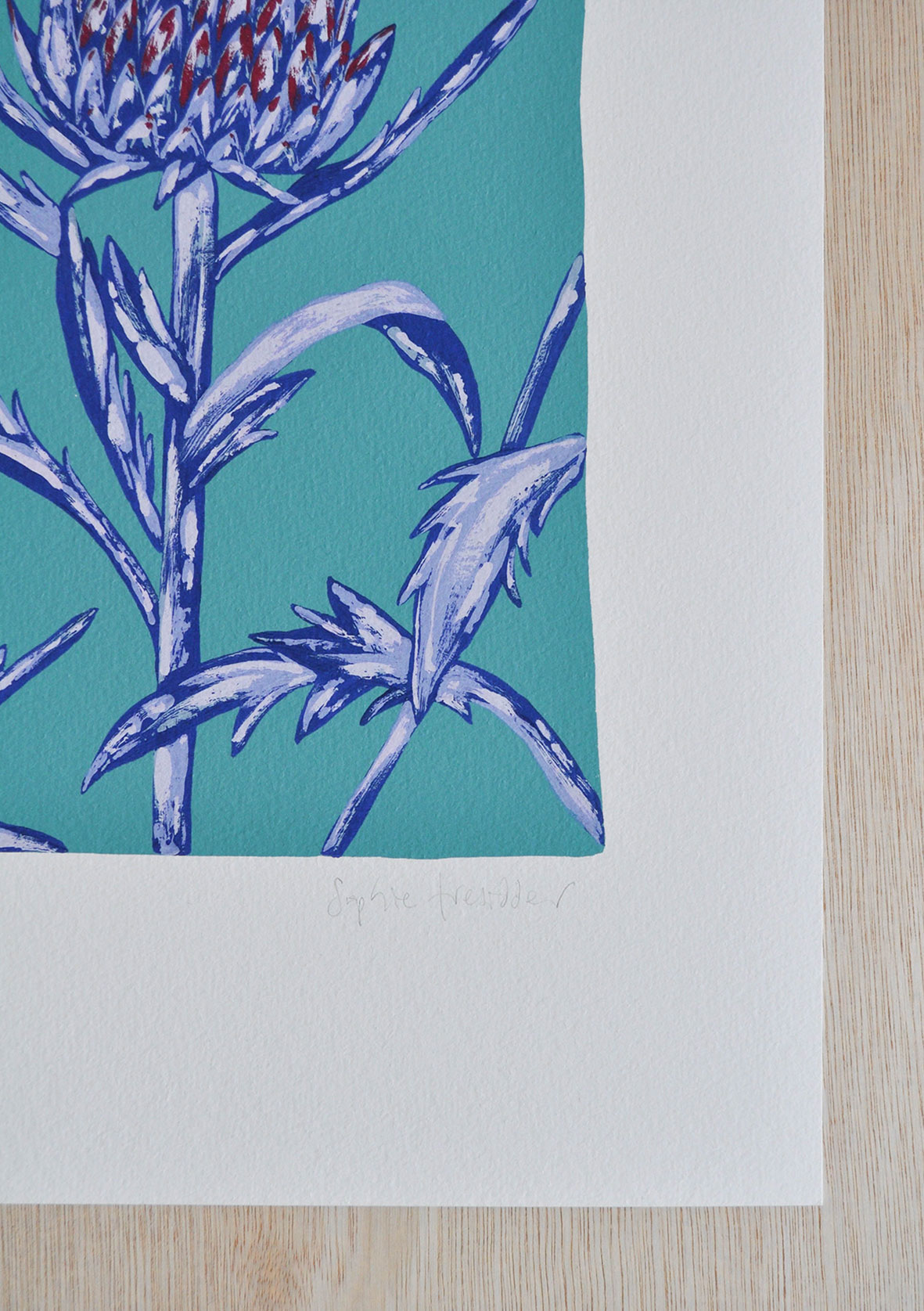 Artichokes botanical art print