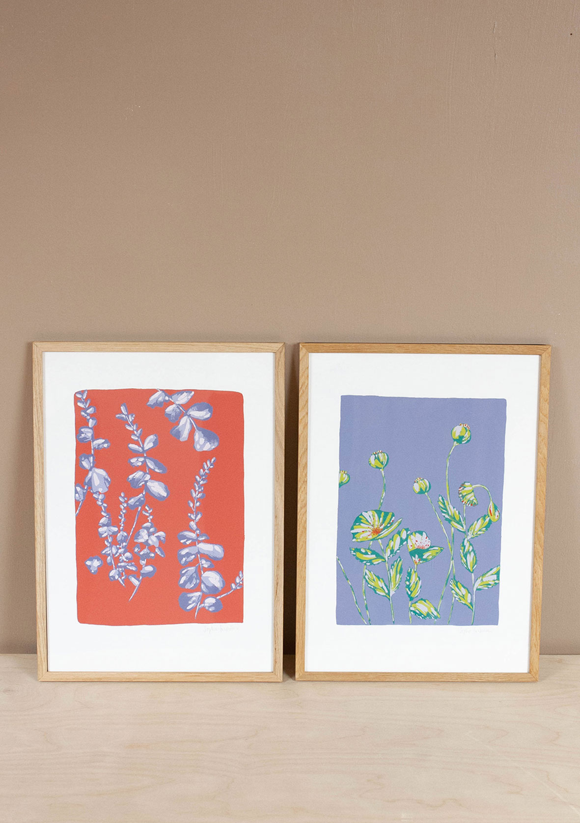 Poppies botanical art print