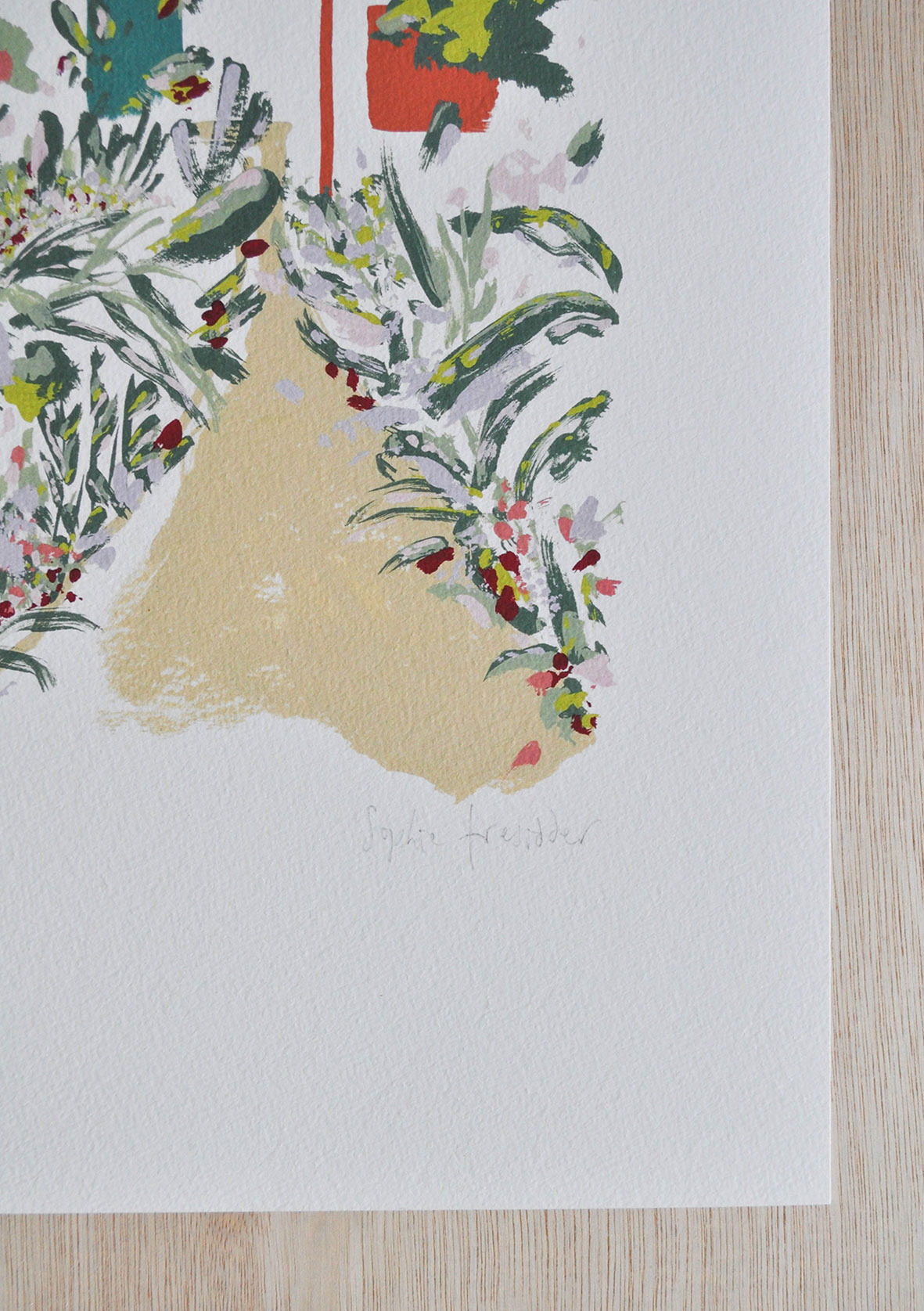 Walled Garden botanical art print