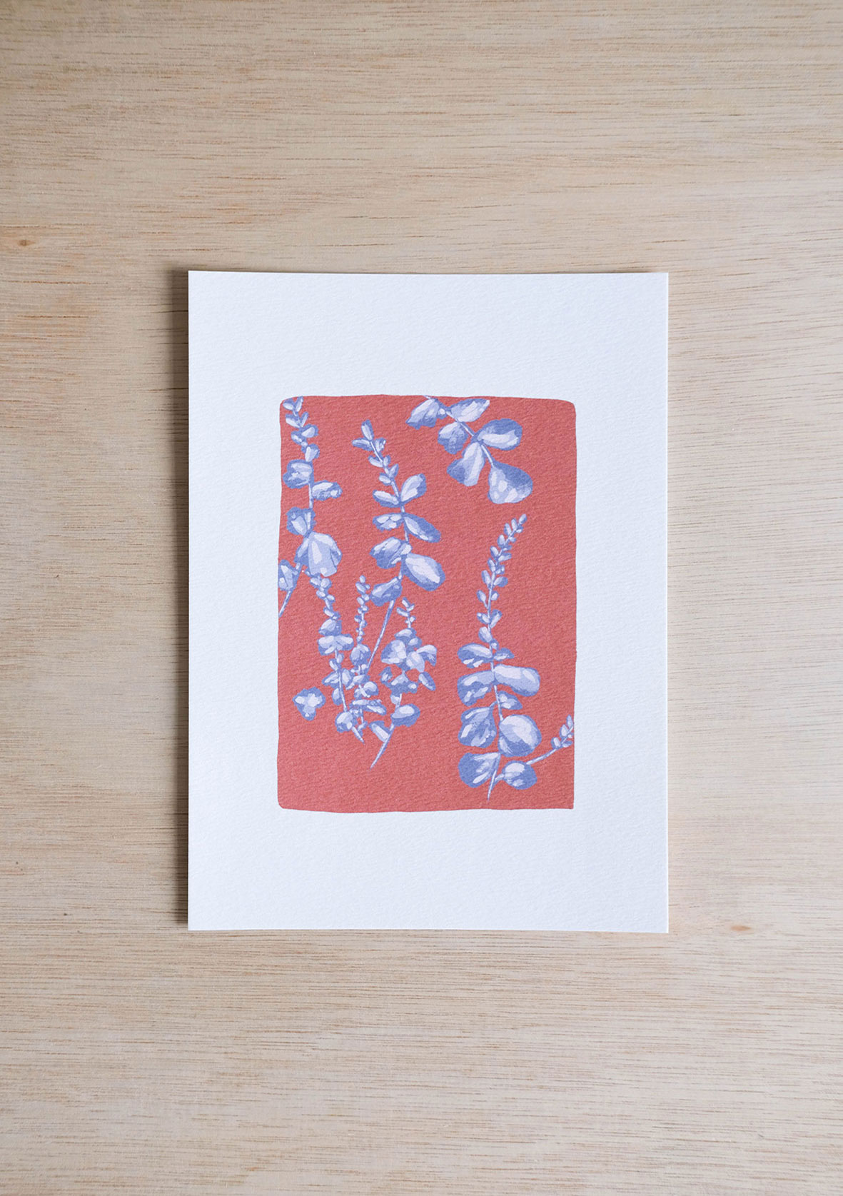 Charleston in Bloom Art Cards botanical art print