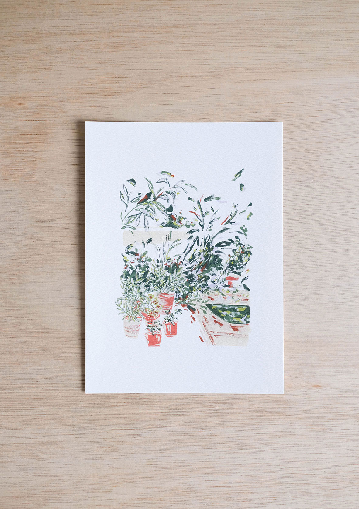 Charleston in Bloom Art Cards botanical art print
