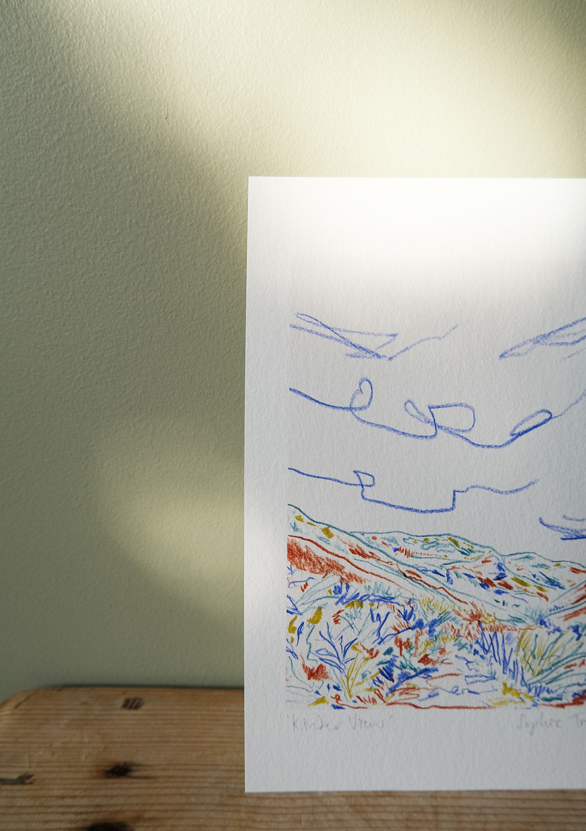 View From Kinder botanical art print