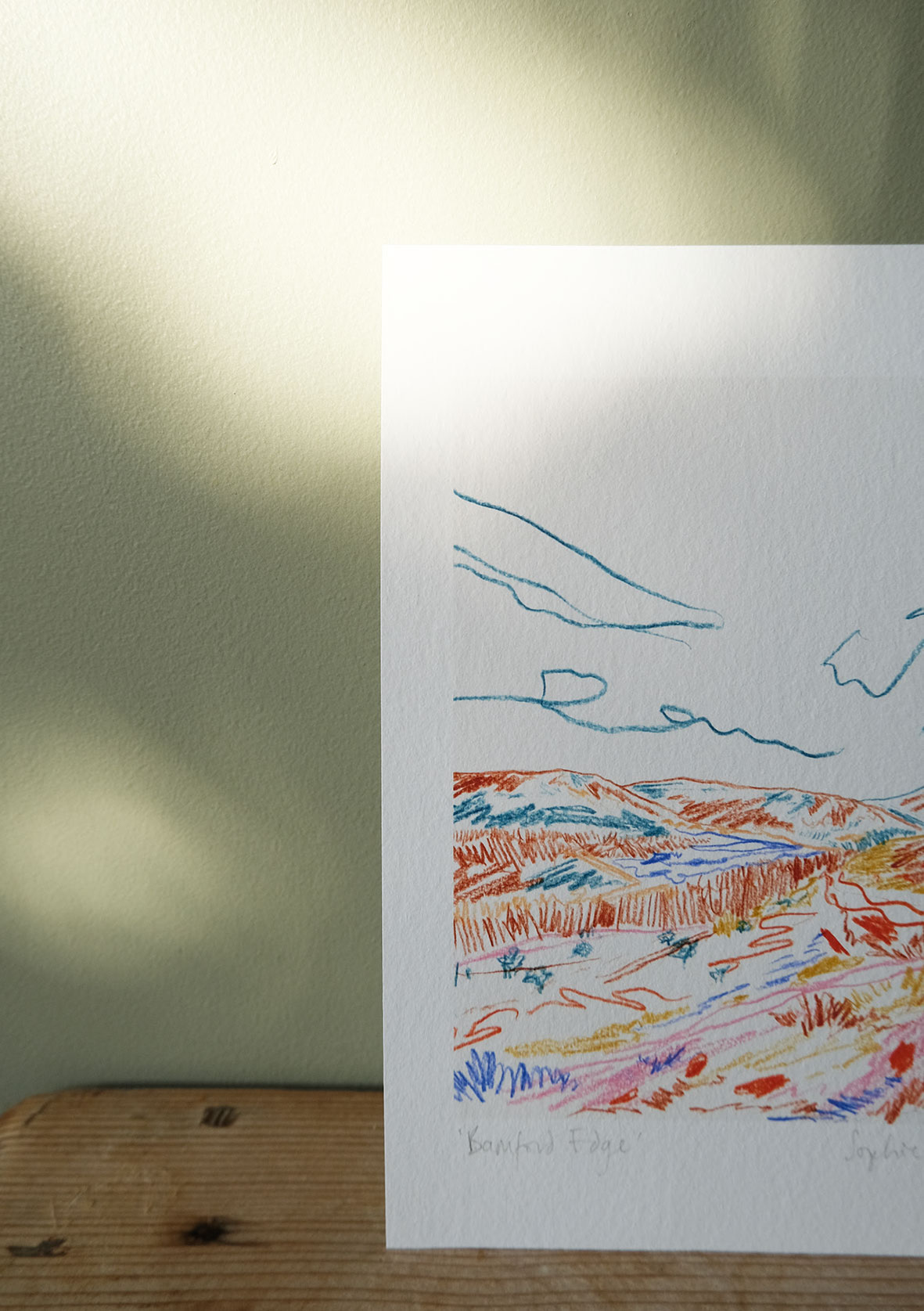 Bamford Edge botanical art print