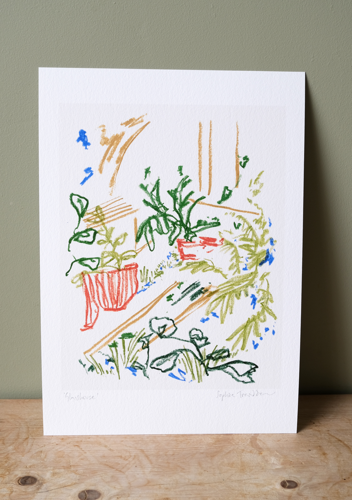 Glasshouse botanical art print
