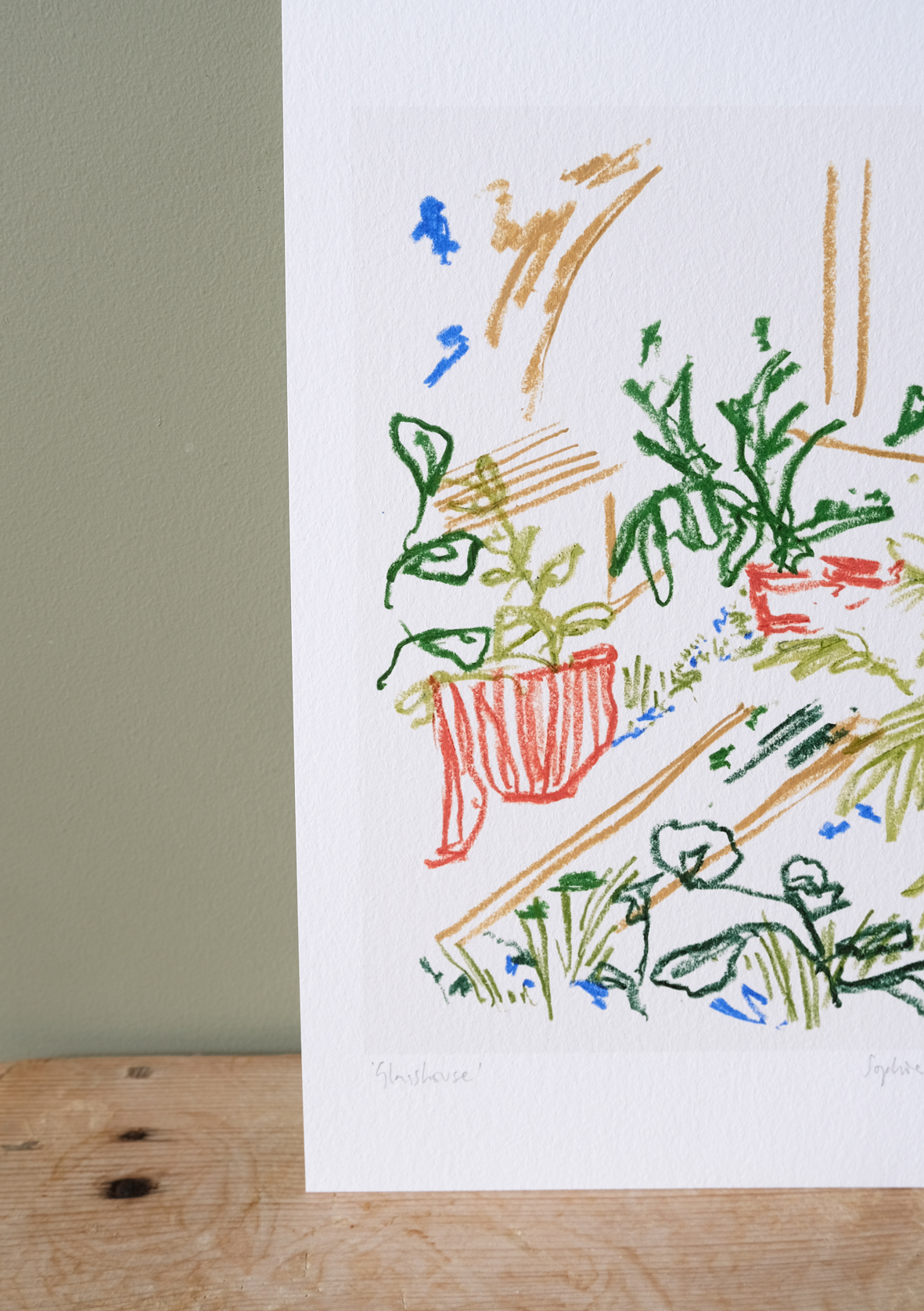 Glasshouse botanical art print