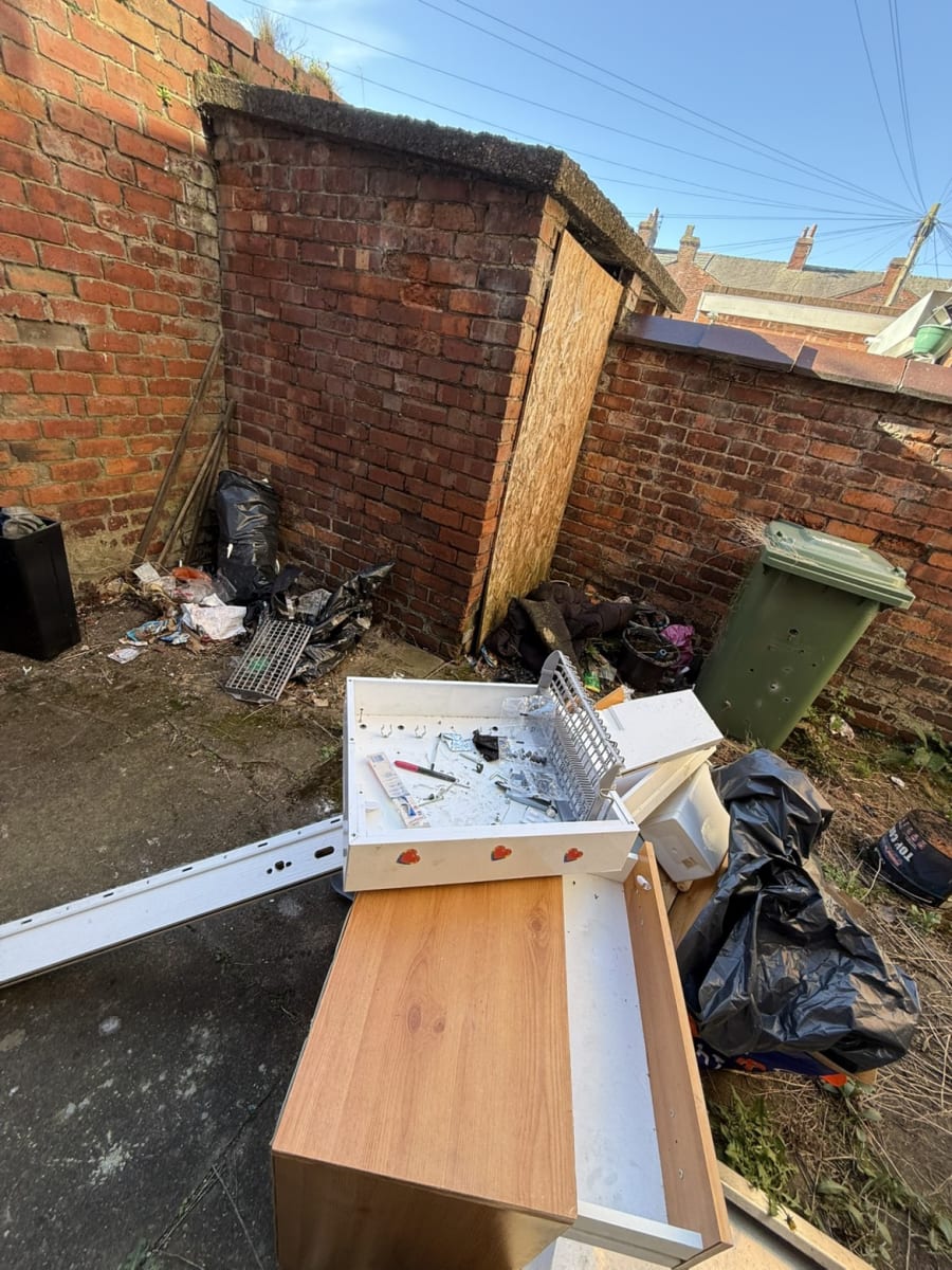 Back garden before clearance