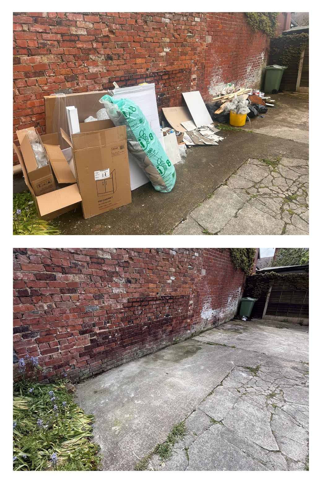 Backyard junk clearance before and after