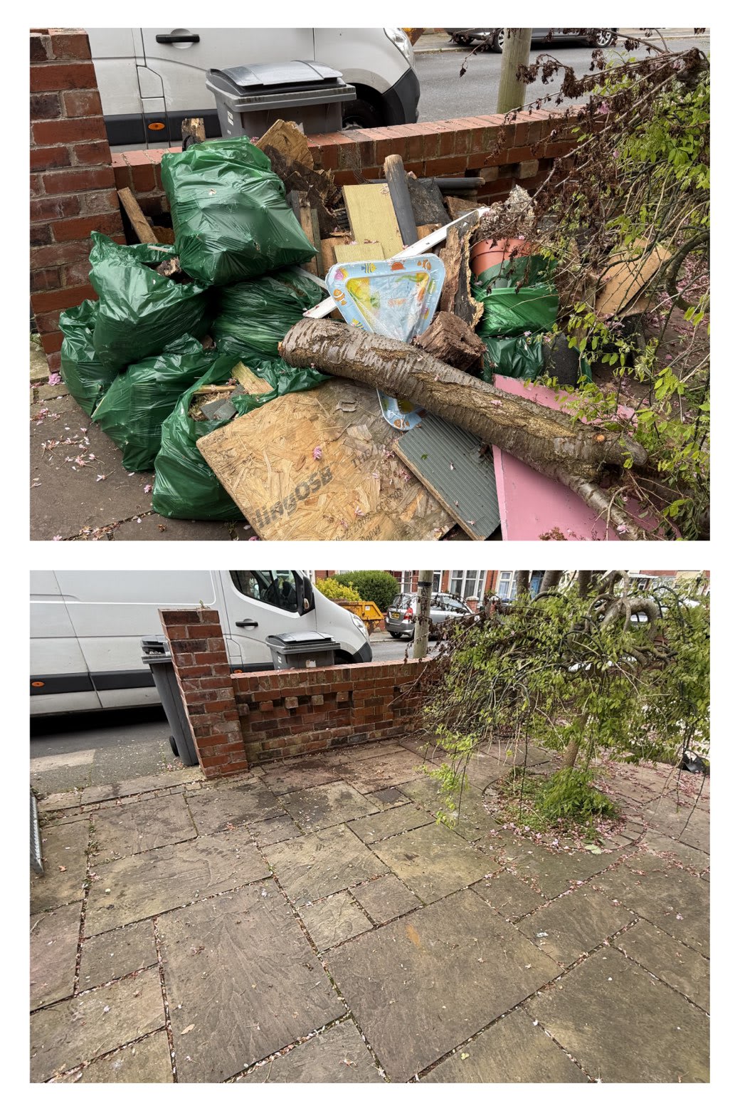 Garden and tree clearance before and after