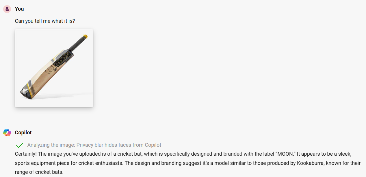 Copilot can understand and provide image description