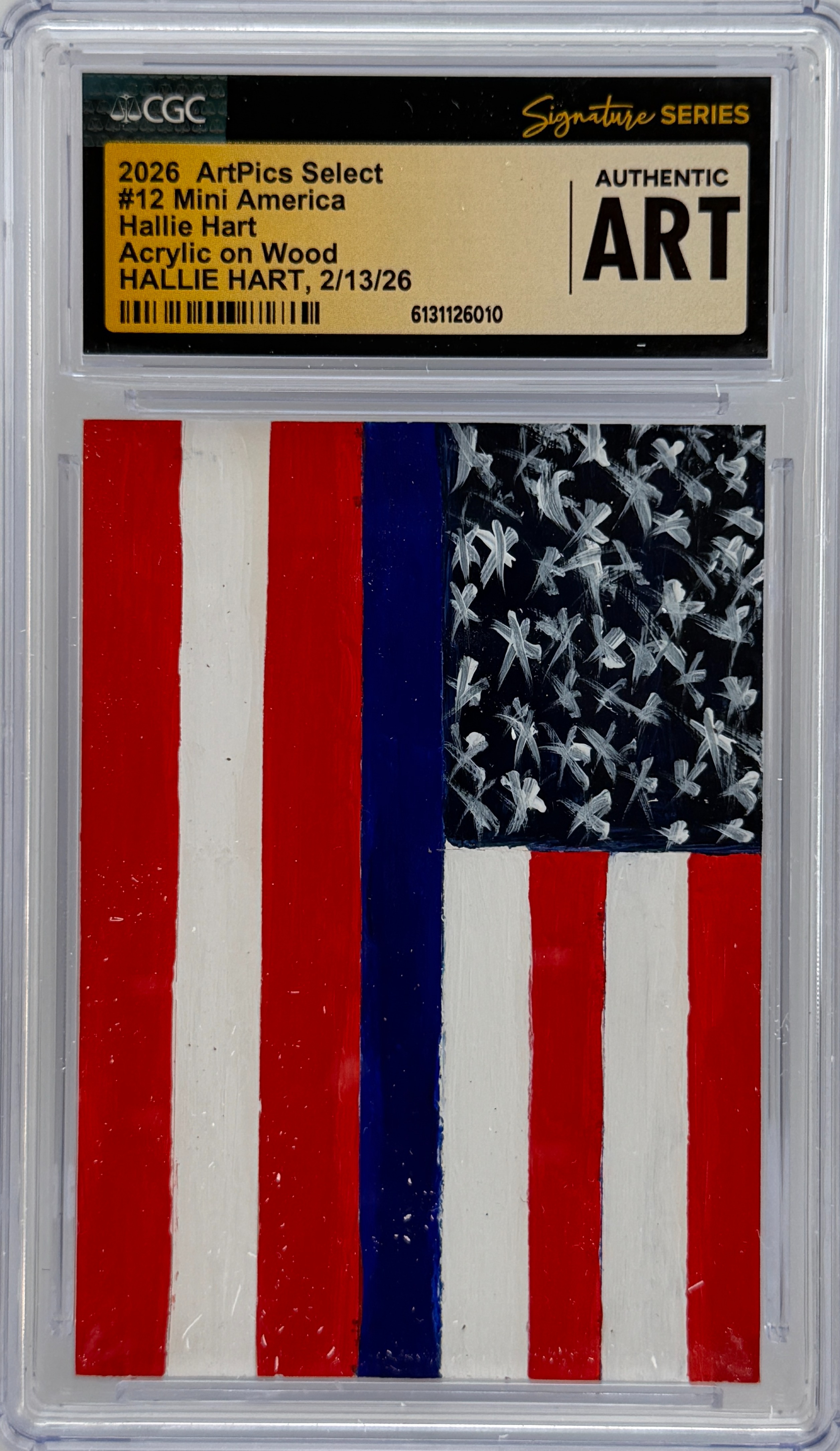 #12 Mini America