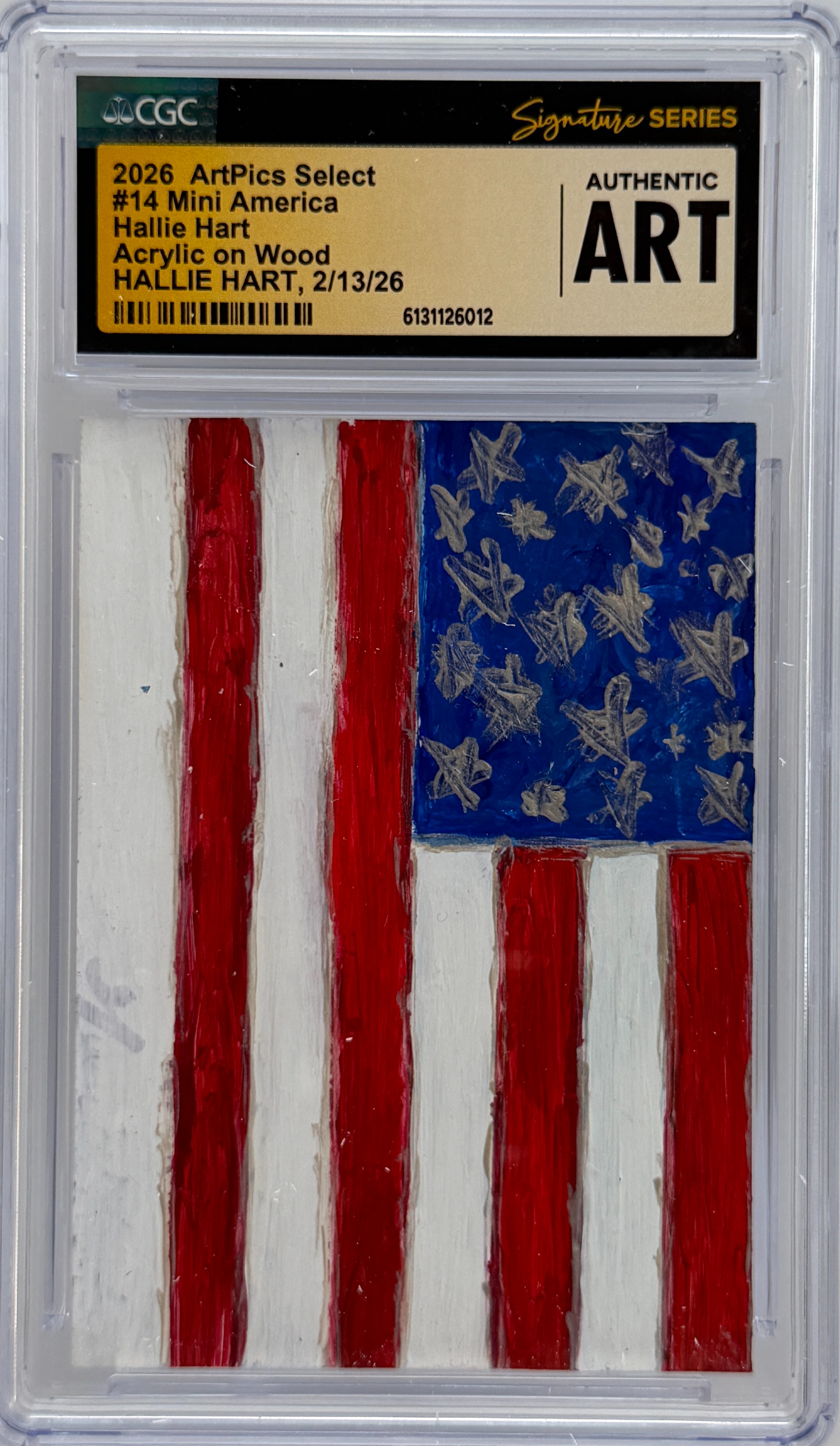 # 14 Mini America