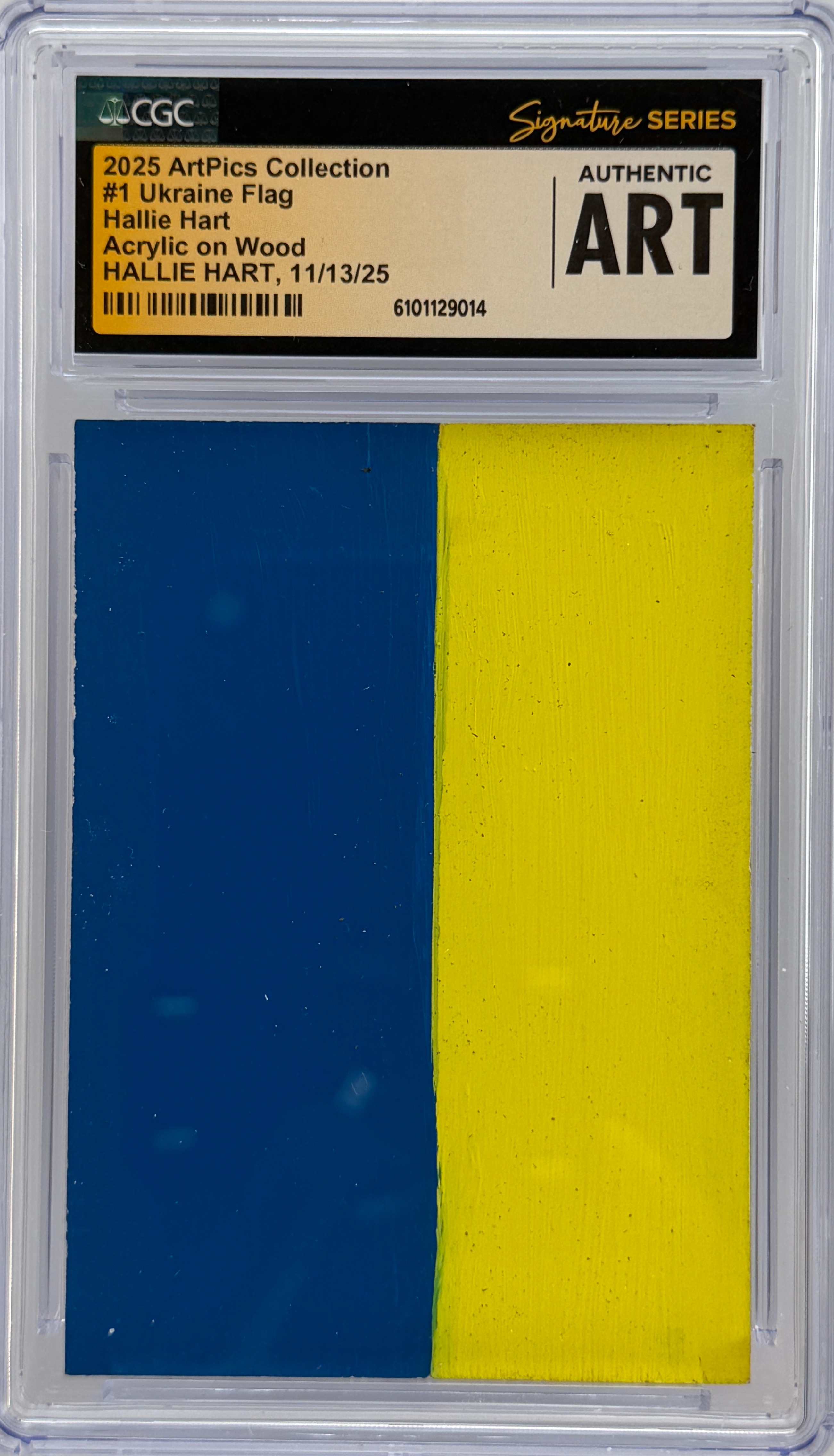 Ukraine Flag