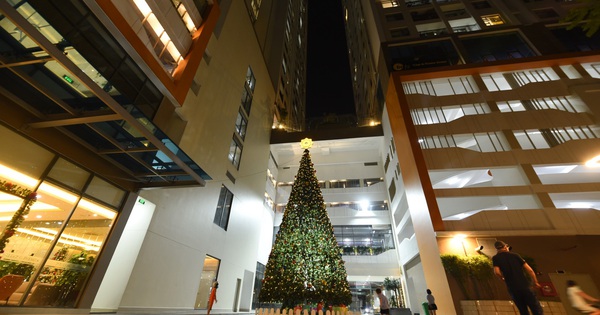 Giáng sinh rộn ràng tại các dự án chung cư Giáng sinh rộn ràng tại các dự án chung cư