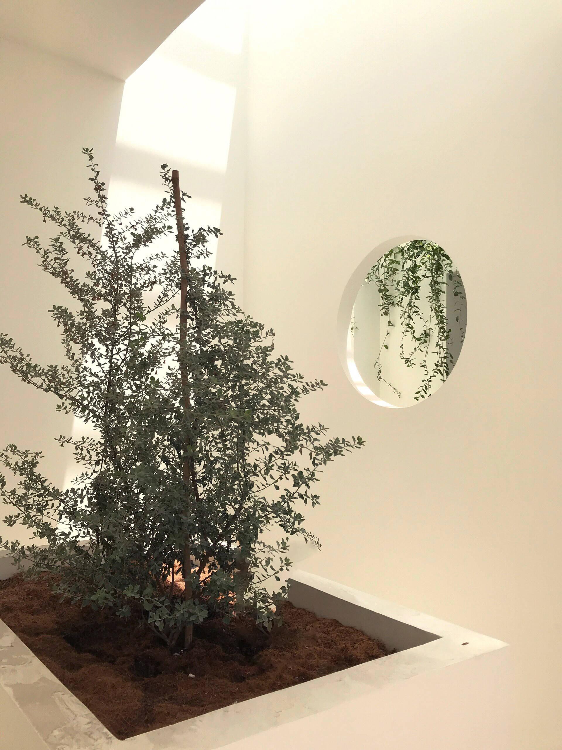 Mê mẩn với mẫu nhà cho 3 thế hệ sinh sống ở Đồng Nai - Ảnh 16. Mê mẩn với mẫu nhà cho 3 thế hệ sinh sống ở Đồng Nai - Ảnh 16.