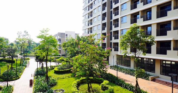 Vi bằng mua suất nhà ở xã hội: Bẫy pháp lý khó lường! Mua bán “suất” nhà ở xã hội qua vi bằng: Hệ lụy khôn lường và góc nhìn pháp lý