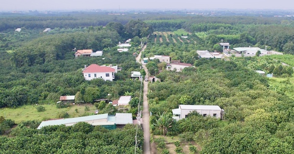 Đất vướng quy hoạch: Thuế tăng, giá giảm, quyền lợi người dân gặp nguy! Đất đai vướng quy hoạch, giá thấp, thuế tăng ảnh hưởng quyền lợi người dân