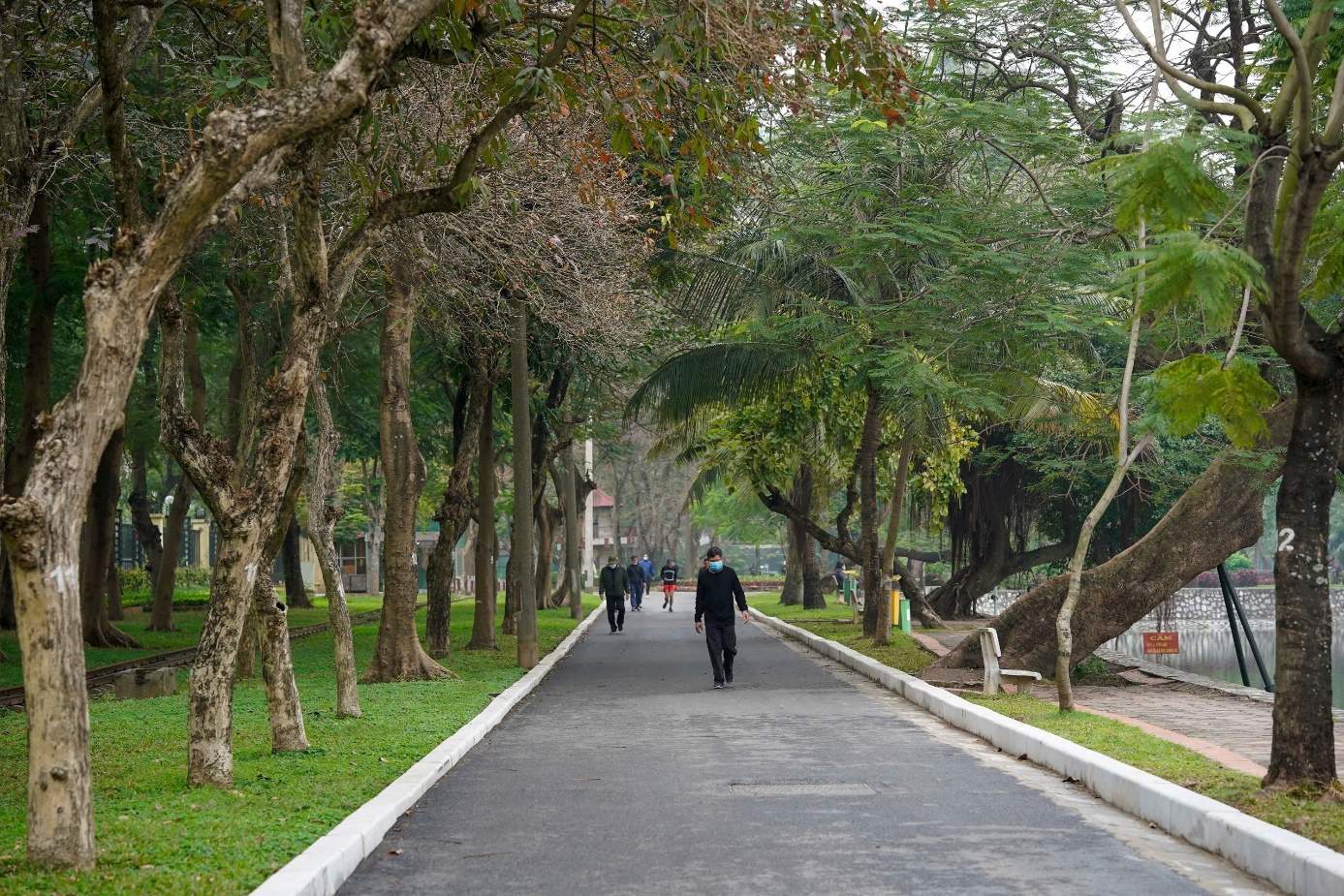 Hà Nội đề xuất phát triển đô thị xanh, thông minh, bền vững- Ảnh 2.