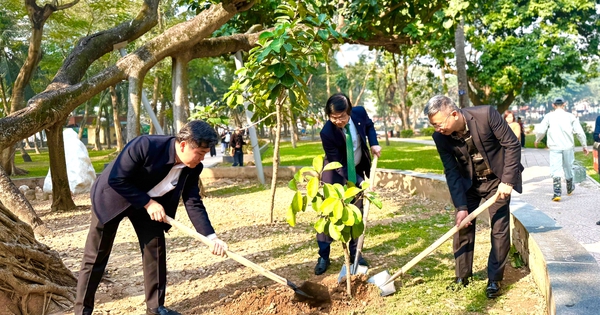 Bộ Xây dựng phát động: Cùng phủ xanh đô thị bền vững Bộ Xây dựng phát động Ngày Cây xanh Việt Nam: Hành động vì đô thị bền vững