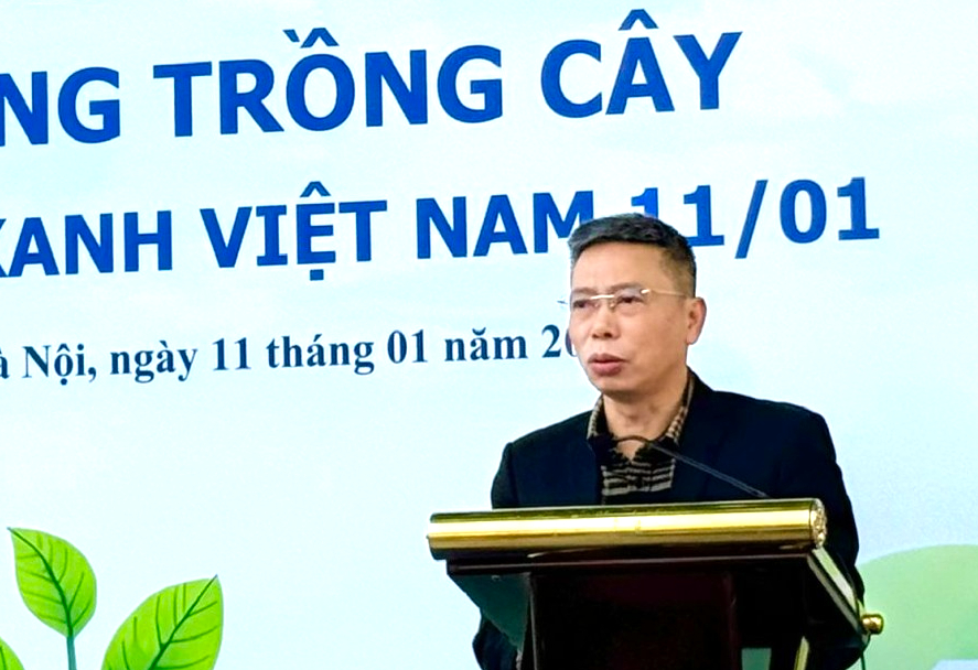 Bộ Xây dựng khởi xướng Ngày Cây xanh Việt Nam: Cam kết vì đô thị vững bền - Ảnh 1.