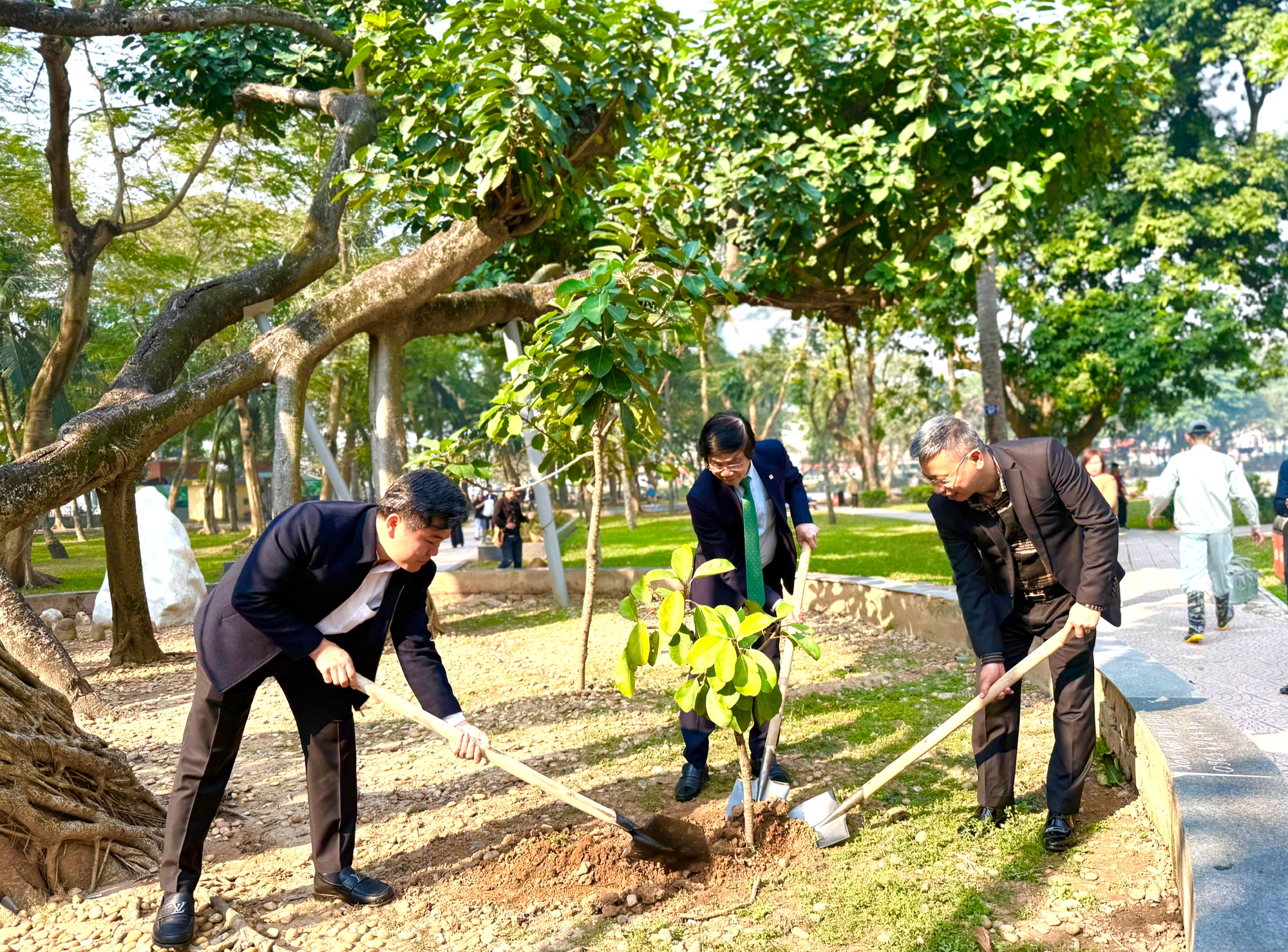 Bộ Xây dựng khởi xướng Ngày Cây xanh Việt Nam: Cam kết vì đô thị vững bền - Ảnh 2.