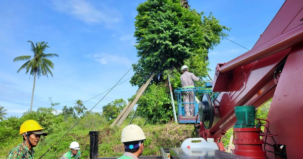 Quảng Ngãi cải cách dịch vụ công: Quy định mới sau sáp nhập tỉnh Quảng Ngãi chính thức ban hành quy định về quản lý dịch vụ công sau nhập tỉnh