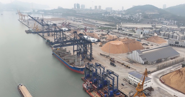 Cái Lân lột xác: Quảng Ninh định hướng cảng du lịch triệu đô Cận cảnh cảng Cái Lân được Quảng Ninh nghiên cứu chuyển thành cảng du lịch