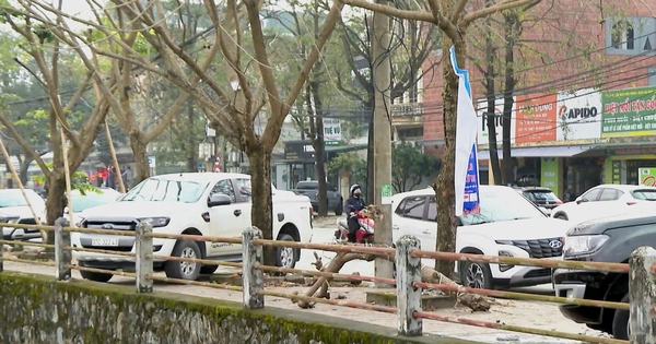 Nghệ An quyết dẹp vỉa hè: Phạt nặng xe đỗ trái phép. Nghệ An sẽ xử lý nghiêm vi phạm chiếm dụng vỉa hè làm nơi đỗ xe