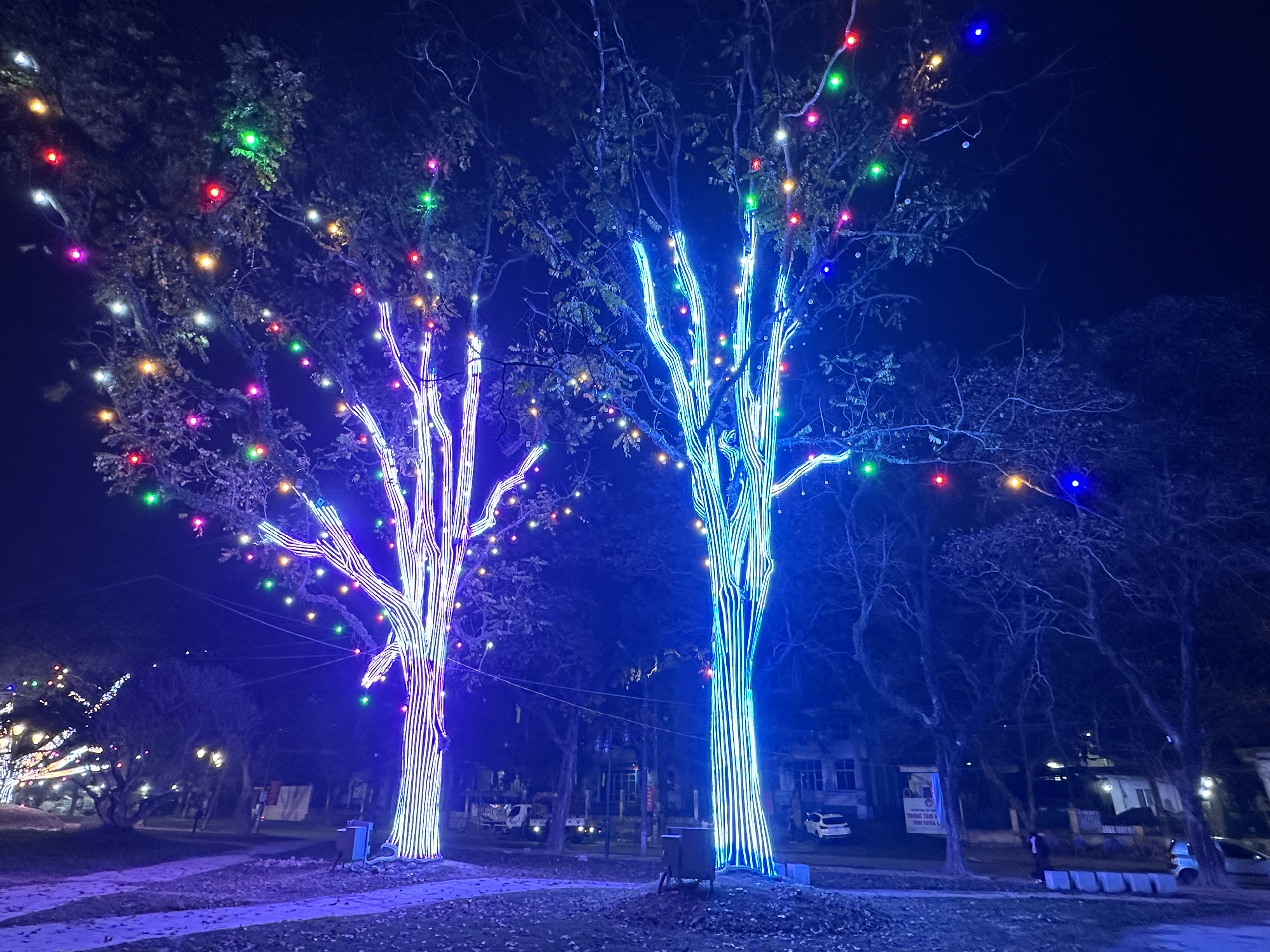 Tuyên Quang chỉnh trang đô thị đón Xuân 2026- Ảnh 7.