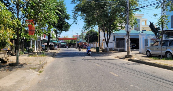 Quảng Ngãi: Cấp xã chính thức cấp phép chặt, di dời cây xanh Quảng Ngãi: Cấp xã cấp giấy phép chặt hạ, dịch chuyển cây xanh