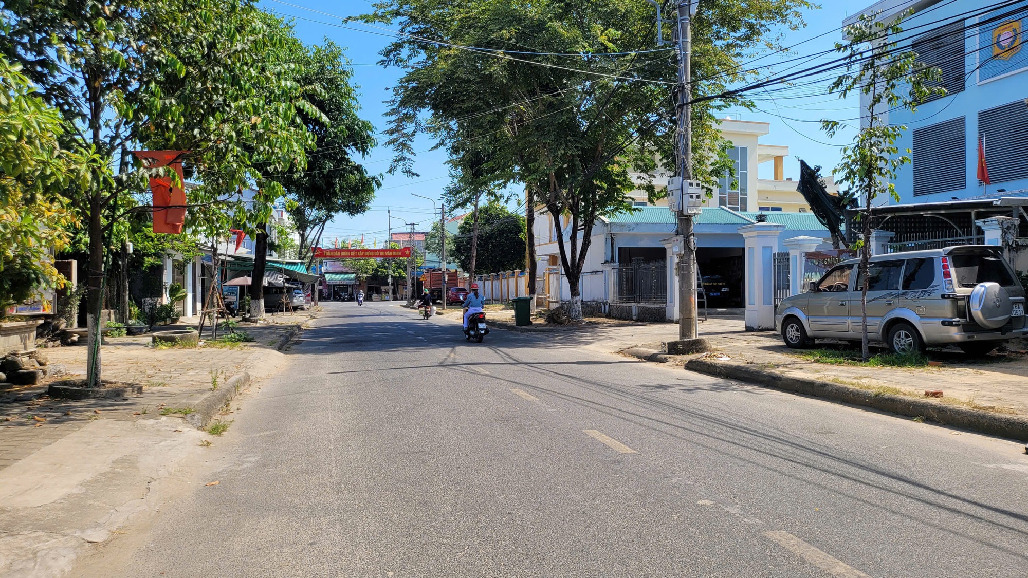 Quảng Ngãi: Cấp xã cấp giấy phép chặt hạ, dịch chuyển cây xanh- Ảnh 1. Quảng Ngãi: Cấp xã cấp giấy phép chặt hạ, dịch chuyển cây xanh- Ảnh 1.