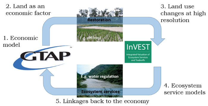 Sơ đồ mô hình kinh tế tích hợp sinh thái. Sơ đồ mô hình kinh tế tích hợp sinh thái.