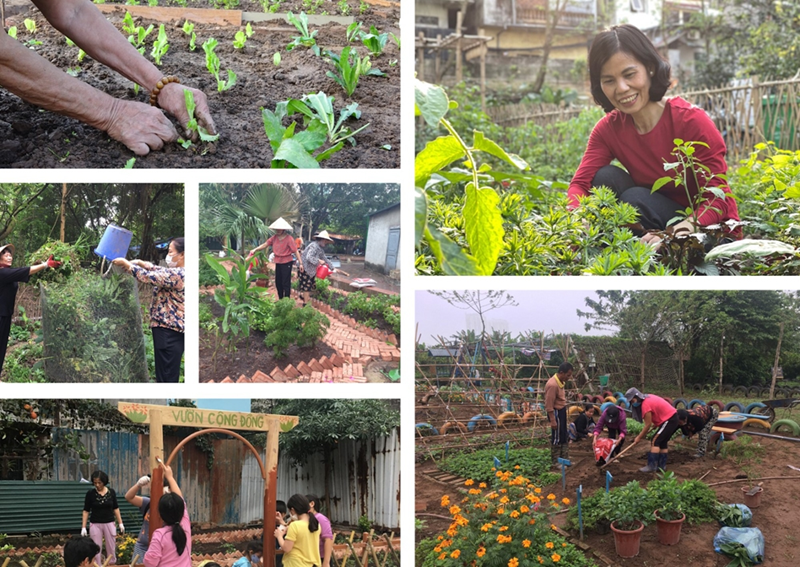 TPG luôn tạo điều kiện tối đa cho cộng đồng dân cư trực tiếp tham gia vào các dự án phát triển sân chơi, hay cải tạo không gian sinh thái tại chính khu vực họ sinh sống.